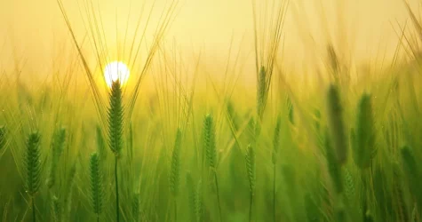 Atelier « Par Amour pour la Terre »